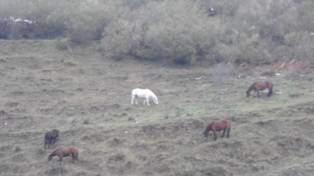 El Rincon De Zaldierna Zewnętrze zdjęcie