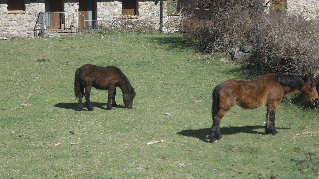 El Rincon De Zaldierna Zewnętrze zdjęcie